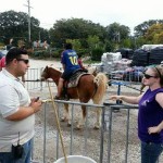 Fall Fest-2013-Ponies